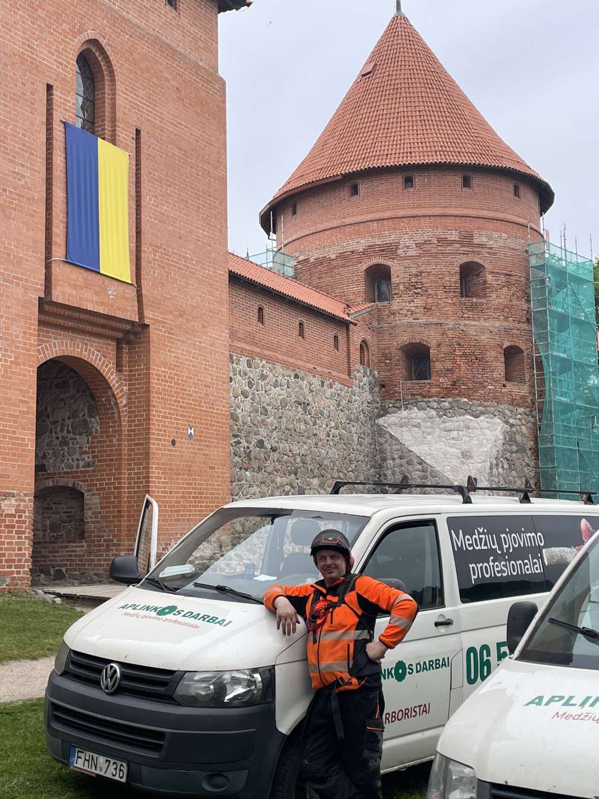 Medžių pjovimas/genėjimas